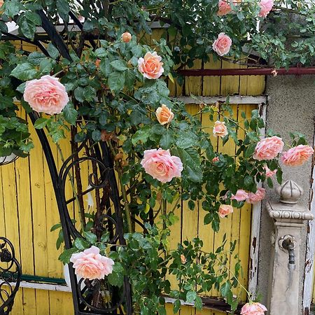 Luxurious Villa With Lush Garden And Huge Terrace Near Herastrau Park Bucarest Extérieur photo